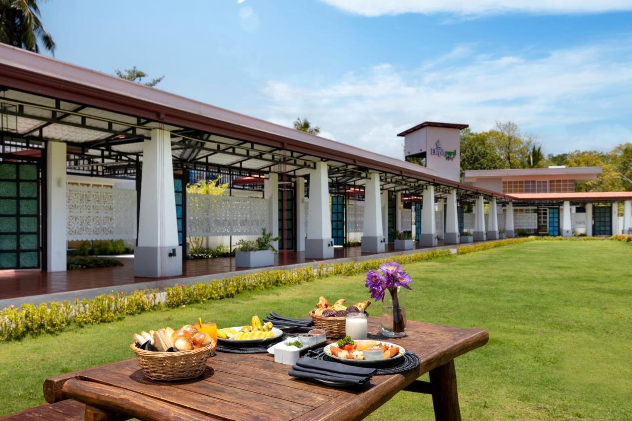 Elephyard Retreat Hotel Mahiyanganaya Kültér fotó