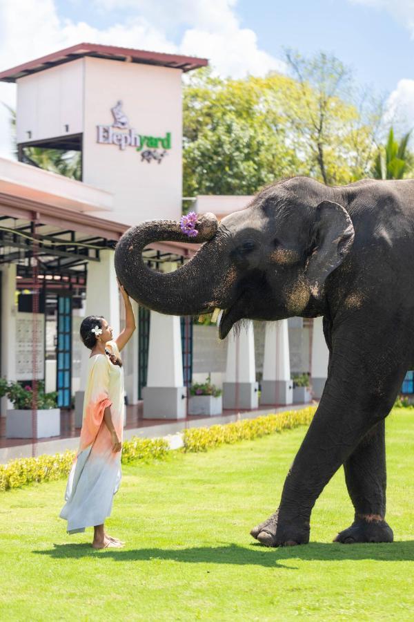 Elephyard Retreat Hotel Mahiyanganaya Kültér fotó